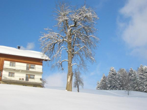 Ferienwohnung Panorama, Doren, Österreich